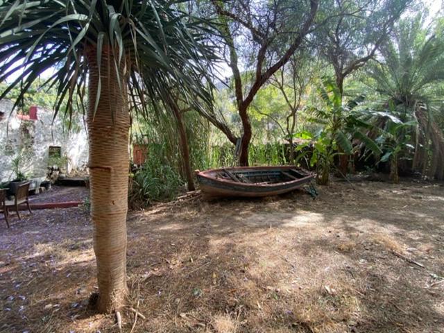 La Casa Del Molino De Viento Villa Agaete  Buitenkant foto