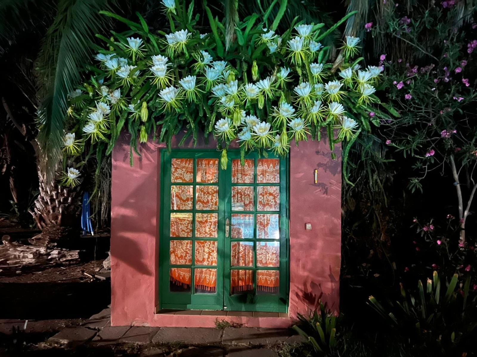 La Casa Del Molino De Viento Villa Agaete  Buitenkant foto