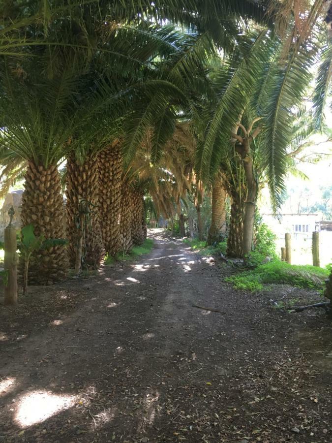 La Casa Del Molino De Viento Villa Agaete  Buitenkant foto