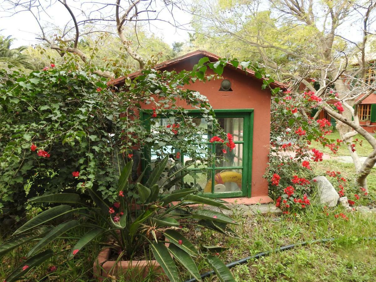 La Casa Del Molino De Viento Villa Agaete  Buitenkant foto